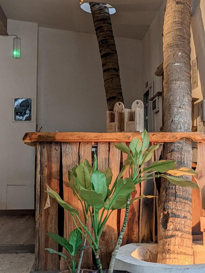 Dhoadhi Retreat Hotel Тулусдоо Екстериор снимка