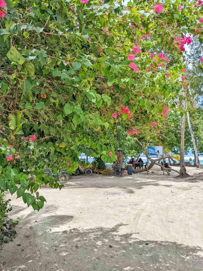 Dhoadhi Retreat Hotel Тулусдоо Екстериор снимка